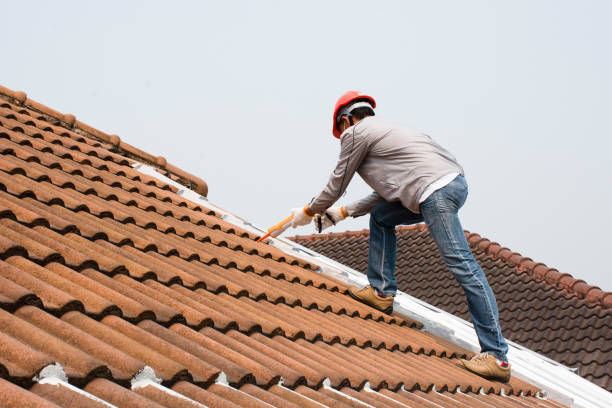 Best Storm Damage Roof Repair  in Berryville, AR